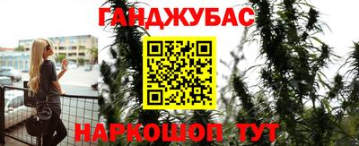 стафф Будённовск