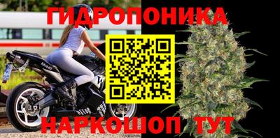стафф Будённовск