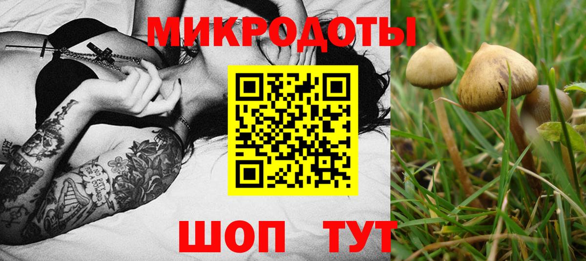 Псилоцибиновые грибы Cubensis  купить наркотик  Балаково  Вход с VPN 